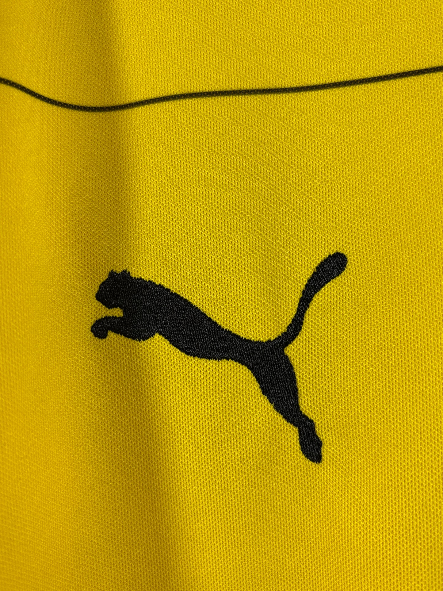 BVB Borussia Dortmund 2015/2016 Heimtrikot - L