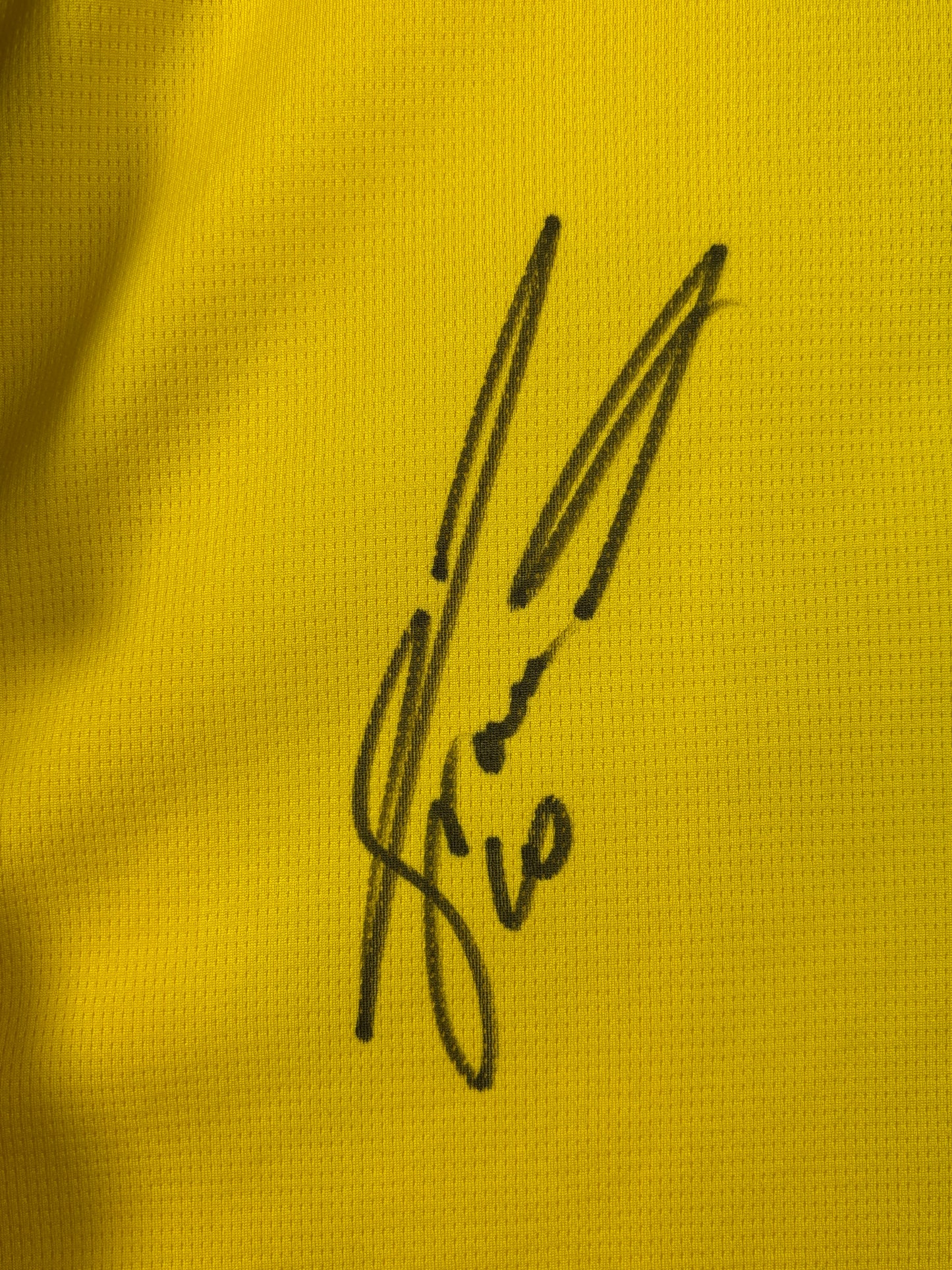 BVB Borussia Dortmund 2024/2025 Heimtrikot - XL - #10 Brandt (signiert & mit Original Rechnung + Etiketten)
