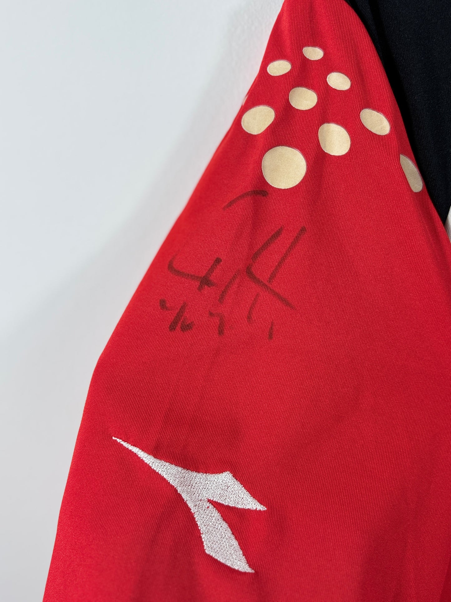 Hannover 96 2006/2007 Heimtrikot TUI - XL - #22 Fahrenhorst (Matchworn & signiert)