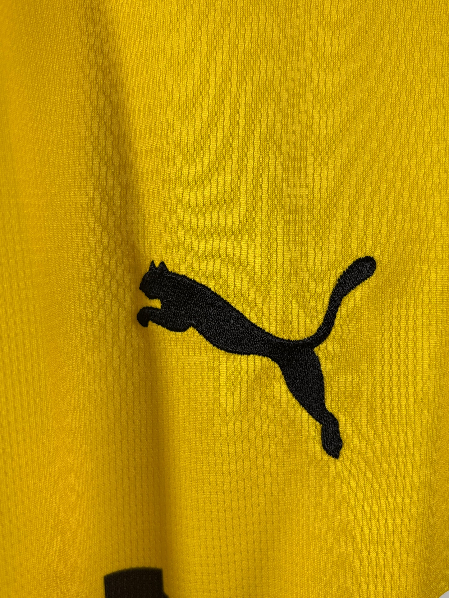 BVB Borussia Dortmund 2023/2024 Heimtrikot - L - #10 Sancho (mit Original Rechnung & Etiketten)